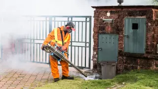 Алматыда әкімдік пен Президент резиденциясы маңынан шыққан түтін жұртты шошытты