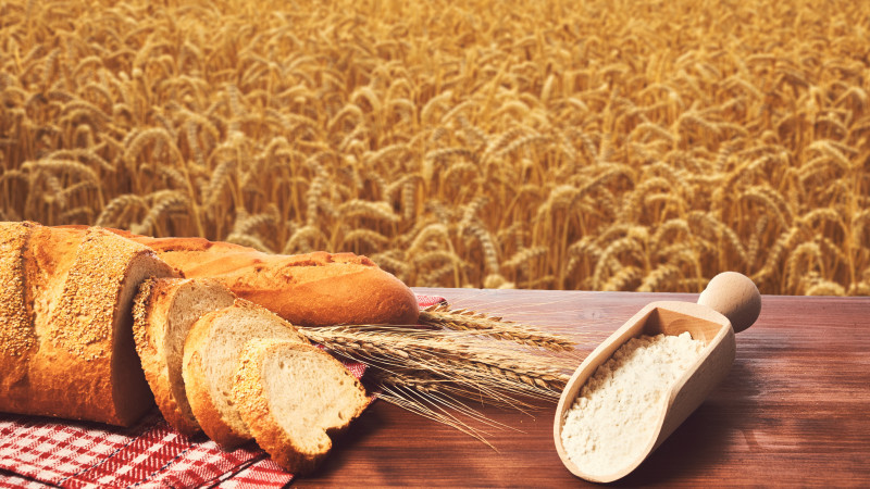 Иллюстрация: elements.envato.com