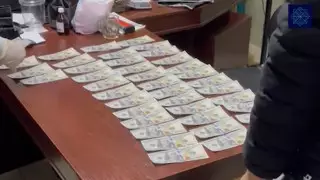 Түркістан облысында жалған доллар сатқан тұрғын ұсталды