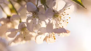 Алдағы демалыс күндері ауа райы қандай болады?