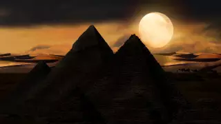 "Шөлдегі киттер алқабы". Мысырлықтар демалатын Вади әл-Райан қорығы жайлы не білесіз?