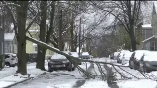 АҚШ-та дауыл салдарынан 300 мыңға жуық адам жарықсыз қалды