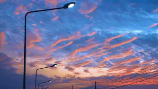 Алматы әкімдігі "Алматы қала жарықтың" жекешелендіруіне қатысты пікір білдірді