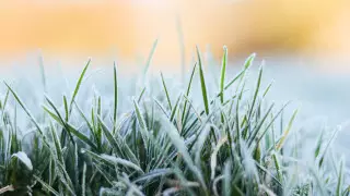 Алдағы күндері ауа райы қандай болады?