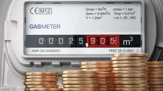 "180 күн әлі біткен жоқ". Министр Ақшолақов газ бағасы туралы айтты