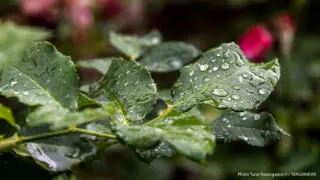 Синоптиктер ауа райына байланысты ескерту жасады