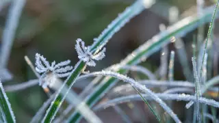 Алдағы күндері ауа райы қандай болады?