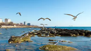 Ресейліктерге Қазақстанға жағажай турлары ұсынылды