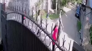 Алматыда соққыға жығылған әйелдің оқиғасы: істің мән-жайы белгілі болды