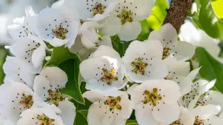 Мамырдағы мерекелерде ауа райы қандай болады?