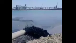 Экология департаменті өкілі Каспийге қара сұйықтық ағып жатқан жағдайға қатысты пікір білдірді