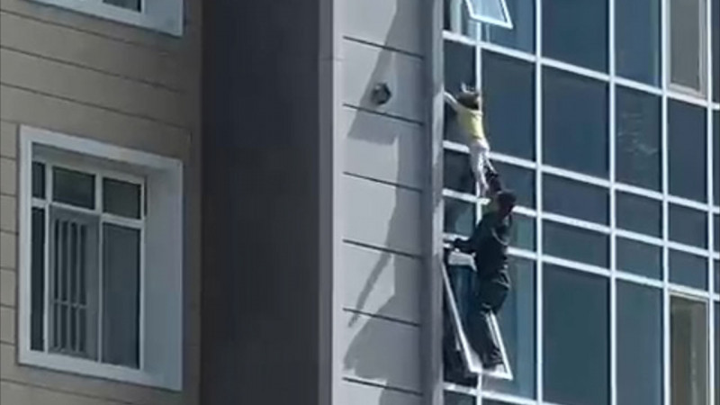 Видео кадры