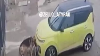 Атырауда көлікті "бөлшектеп тастаған" иттердің видеосы тарады