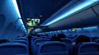 Стюардесса ұшақ бортында кезек күтпей әжетханаға кірудің жолын айтты