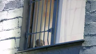 Павлодарда бір жарым жасар қыз тоғызыншы қабаттан құлап кетті