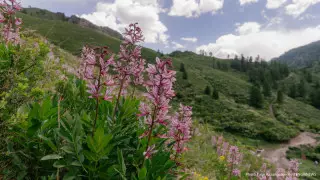 Жазда ауа райы қандай болады? Қазгидромет болжамы