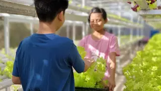 1 қыркүйектен бастап Қазақстан мектептерінде жаңа пән пайда болады