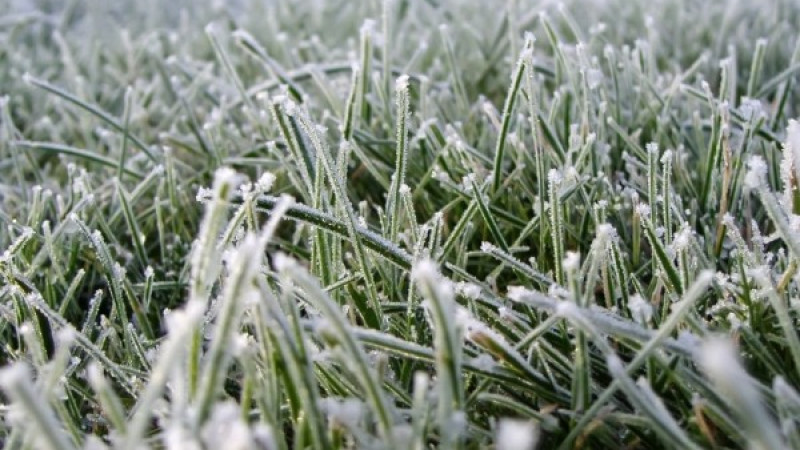 Фото: ашық дереккөздерден