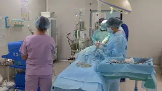 Шымкенттік дәрігерлер сирек кездесетін ауруға шалдыққан жасөспірімге ота жасады