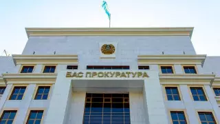 Денесіне үтік басып азапталған талдықорғандықтың ісі туралы фейк тарады