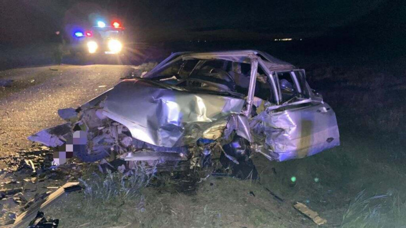 Сурет: polisia.kz