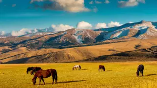 ҰҚК Шығыс Қазақстанның туристік орындарына бару ережелерін түсіндірді