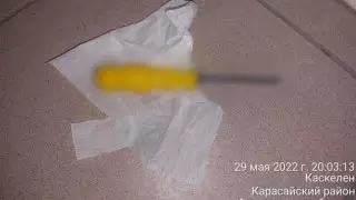 "Бұрағышпен өлтірген". Алматы облысында жантүршігерлік оқиға болды