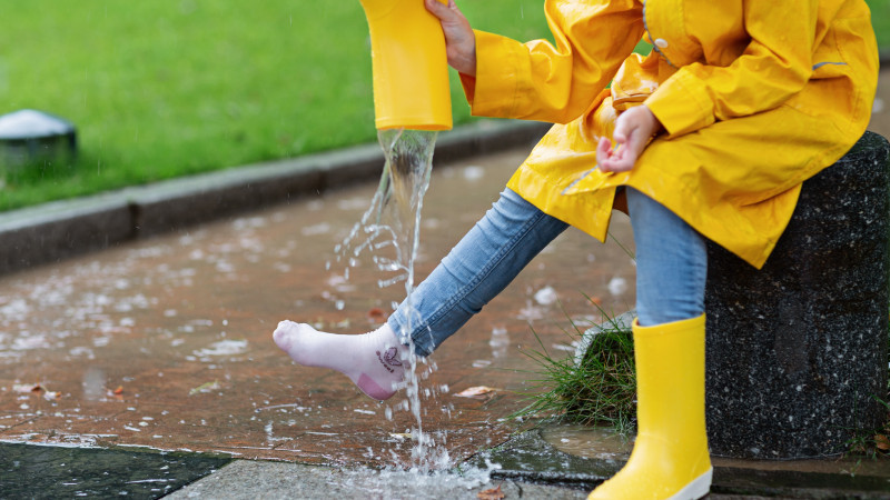 Фото: elements.envato.com