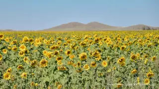 Маусымда ауа райы қандай болады?