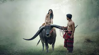 The Taiger Таиландқа тән 10 ерекшелікті атады