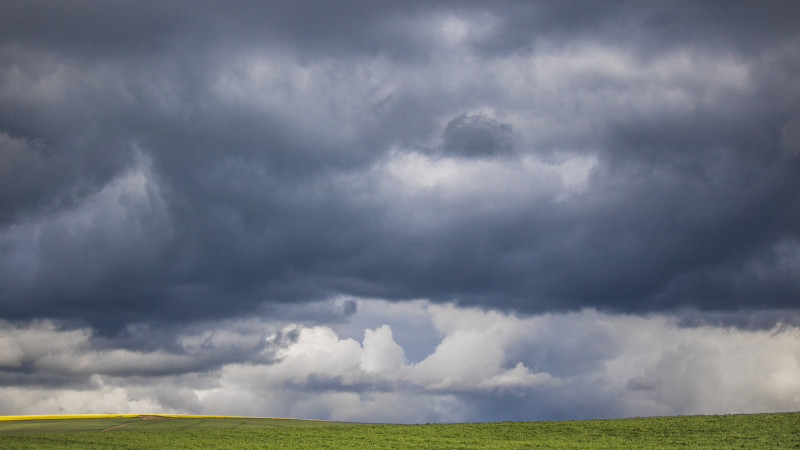 Фото: elements.envato.com
