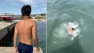 Ақтауда теңізге батып кеткен студенттің TikTok-тағы видеосы пайда болды