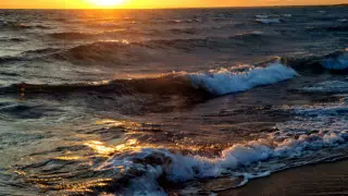 Балқаштағы 2022 жылғы демалыс туралы мыналарды білу керек