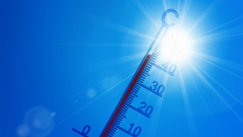 Фото: Pixabay.com