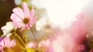 Қазақстанда алдағы күндері ауа райы қандай болады?