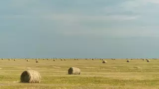 1,5 миллион гектар жер 30 адамның қолында - депутат Алматы облысындағы жер туралы