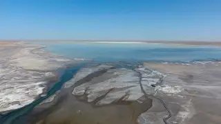 Үй порно онлайн сука душта