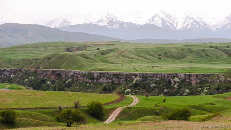 Фото: Tengrinews.kz/Тұрар Қазанғапов