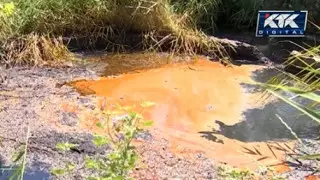 Қалдықтарды ауылға төккен: Алматы облысының әкімдігі шарап зауытына қатысты жағдайға түсінік берді