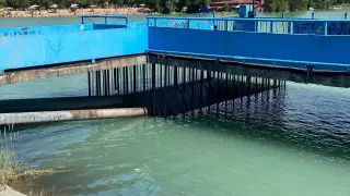 Алматыда Сайран су қоймасынан ішек таяқшалары табылды