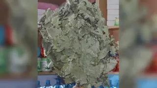 БҚО тұрғындары монша сыпырғыштары үшін миллион теңге айыппұл арқалады