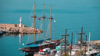 Анталияның жағажайлары Мысыр арқылы келген фугу балығына толды