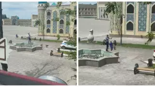 Таразда полицей тұмылдырықсыз итке оқ атты