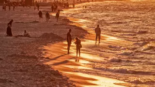 Сочи жағажайында туристер жаппай төбелесті. Видео