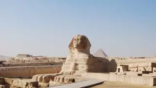 Мысырда лоукостер пайда болады