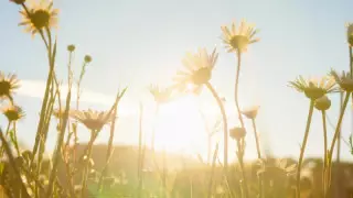 Қазақстанда алдағы күндері ауа райы қандай болатыны айтылды