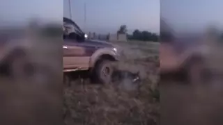 Министр жылқыны көлігімен басқан жүргізушіге қатысты пікір білдірді