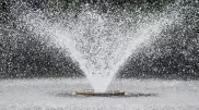 Жазда фонтанға шомылудың қандай қаупі бар?