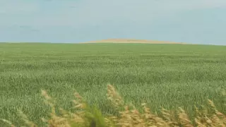 Пайдаланылмаған ауыл шаруашылығы жерлерін жаппай қайтару жалғасып жатыр - үкімет