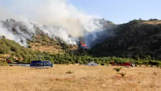 Түркияның танымал курортында өрт басталды